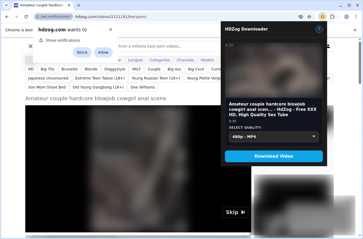 HDZog Video Downloader browser extension screenshot 4