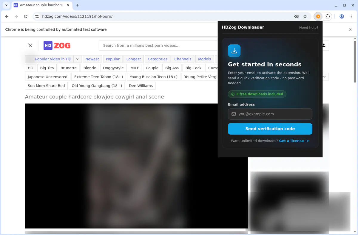 HDZog Video Downloader browser extension screenshot 6